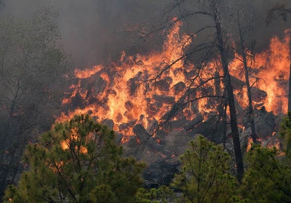 Im US-Bundesstaat toben seit vergangener Woche verheerende Waldbrände.