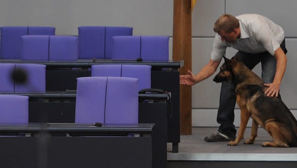 Die Polizei trifft Sicherheitsvorkehrungen: Vor der Papst-Rede im Bundestag durchsucht ein Sprengstoffhund die Sitzreihen des Parlaments.