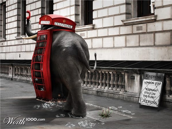 Elefant (Fotomontage: worth1000.com)