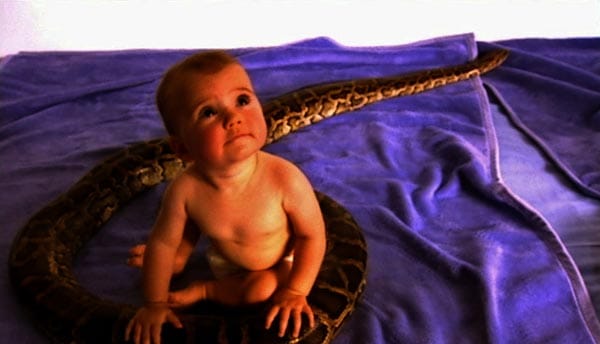 Babys haben keine Angst vor Schlangen. Ohne Orientierung durch die Eltern wären sie der Welt hilflos ausgeliefert.
