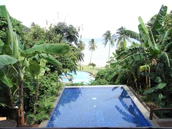 Das "Hotel Phi Phi Island Village" liegt an der Ostseite der Insel Koh Phi Phi in Thailand, direkt am 800 Meter langen, flach abfallenden Sandstrand der Loh-Ba-Gao-Bucht. Inmitten üppiger tropischer Vegetation wohnt man in Holzbungalows, die auf Stelzen gebaut sind.