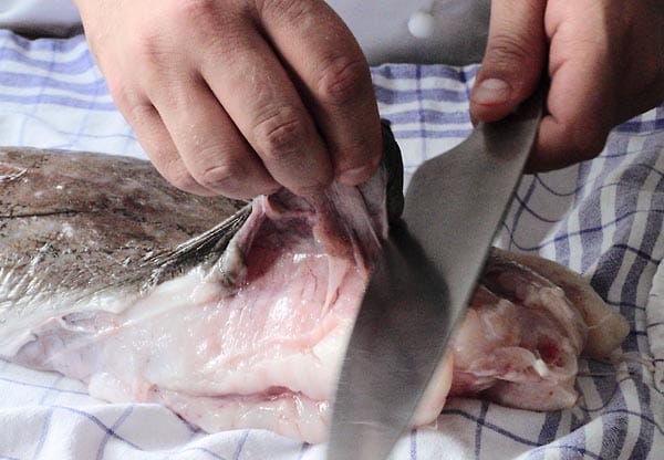 Beim Häuten von Fisch gilt: Immer nur dann mit dem Messer arbeiten, wenn es nicht anders geht…