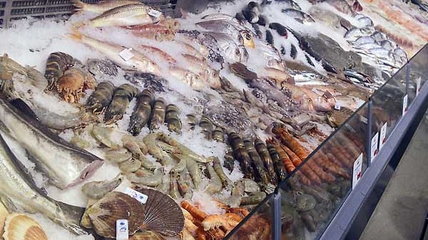 Die Fischtheke im FrischeParadies Frankfurt lässt das Herz von Fischfreunden höher schlagen. Hier gibt es fast alles – und was nicht vor Ort ist, wird auf Bestellung organisiert