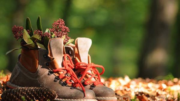 Im Herbst sollten Sie viel wandern