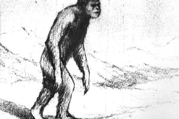 Zeichnungen und Fußabdrücke sollen die Existenz des Yetis belegen: Hier auf Archivbildern aus den 1950er Jahren