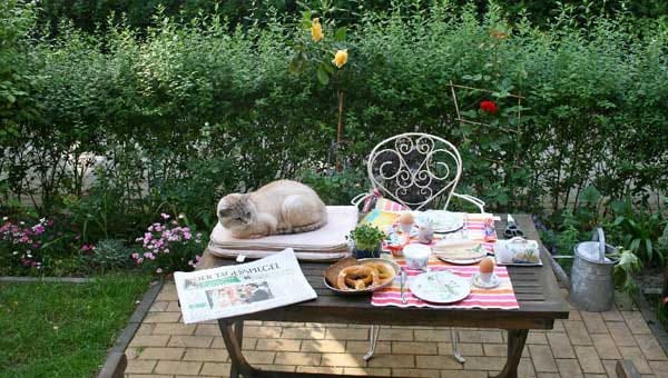 "Kater "Tommi" am Morgen - vertreibt Kummer und Sorgen!"