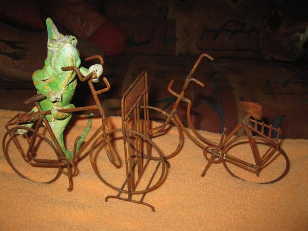 Jemen Chamäleon "Boy-George": "Na, hat jemand Lust auf eine Rad Tour?"