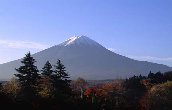 Am Fuße des Mount Fuji in Japan liegt der Aokigahara Wald mit seinen dichten Baumkronen. Wer hier spazieren geht, wird durch Schilder gewarnt: "Das Leben ist etwas ganz Wertvolles. Denk nochmals drüber nach!". Denn...