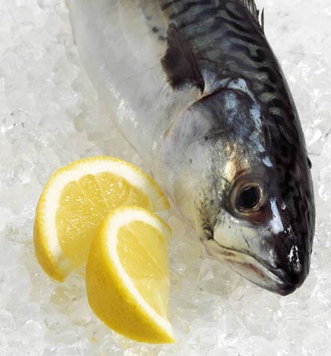 Fisch auf Eis: Bei Fisch sollten Sie das vorgeschriebene Verbrauchsdatum auf gar keinen Fall überschreiten!
