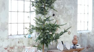 Und wie sieht in diesem Jahr der Tannenbaum aus? Im passenden Umfeld darf die Tanne ruhig einmal etwas kahler ausfallen.