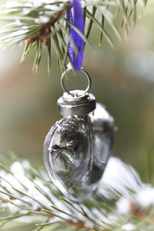 Silberfarbener Christbaumschmuck leuchtet an der Tanne himmlisch schön.