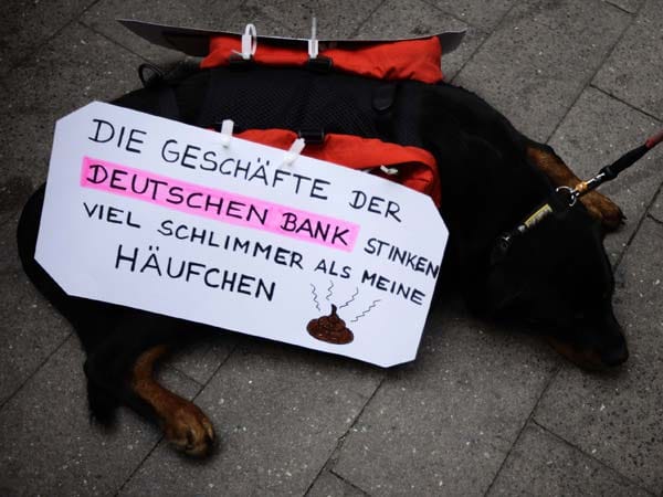 Hund mit Demonstrationsplakat in Frankfurt