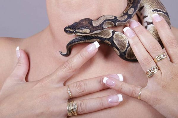 Skurrile Beauty-Trends: Schlangenmassage.