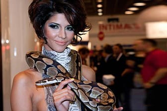 Möchten Sie das Nacktmodell Micaela Schäfer gern im Kampf mit Kakerlaken und Schlangen sehen?