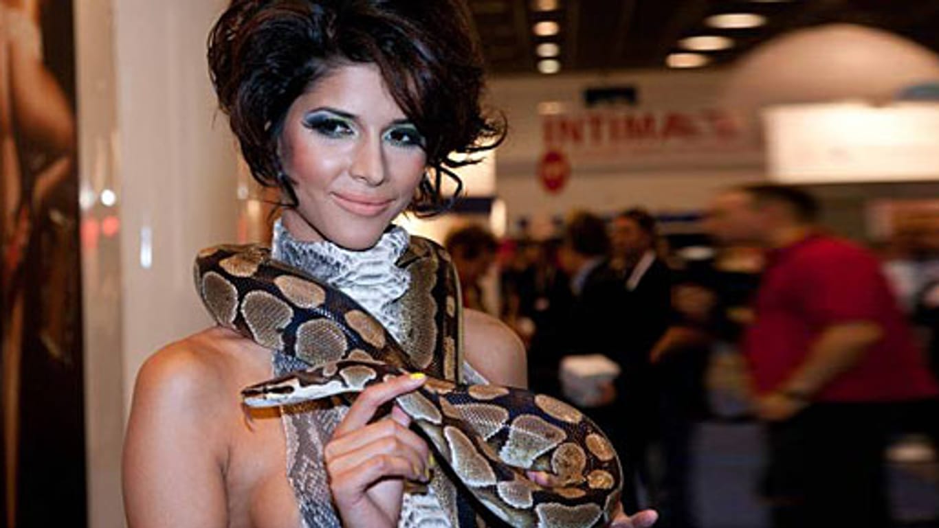 Möchten Sie das Nacktmodell Micaela Schäfer gern im Kampf mit Kakerlaken und Schlangen sehen?