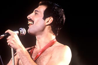 Nicht nur bei seinen Fans unvergessen: "Queen"-Sänger Freddie Mercury 1980.
