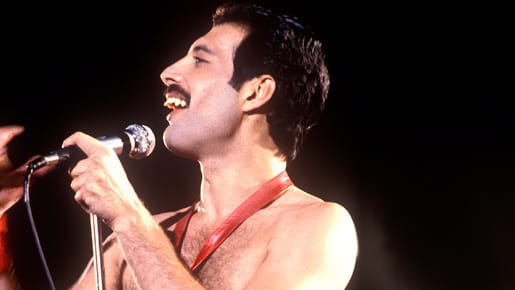 Nicht nur bei seinen Fans unvergessen: "Queen"-Sänger Freddie Mercury 1980.