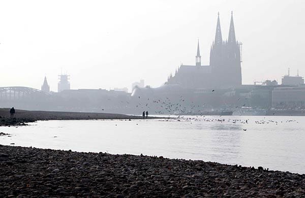Auch in Köln sind Spaziergänger auf Kiesbänken unterwegs, die normalerweise unter Wasser liegen.
