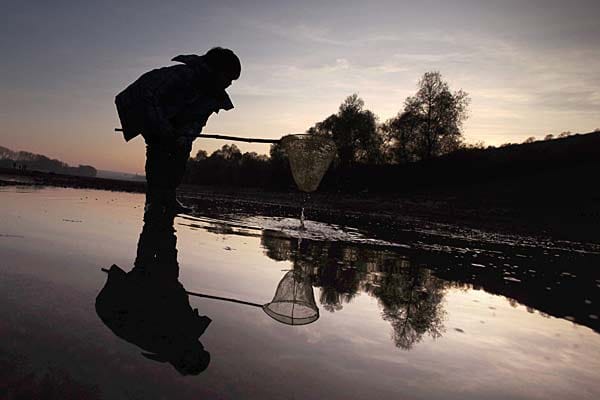Ein Junge fischt am Montag im Niedrigwassers des Rheins bei Nackenheim nach kleinen Fischen und Krebsen.