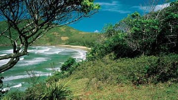 Die grüne Küste von Florianópolis.