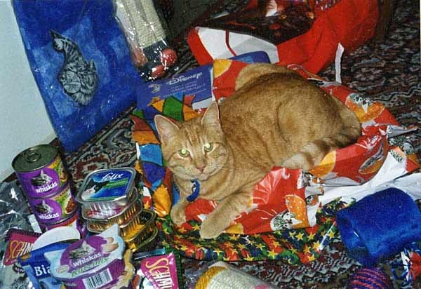 "Kater "Garfield" hat seine Geschenke ausgepackt."