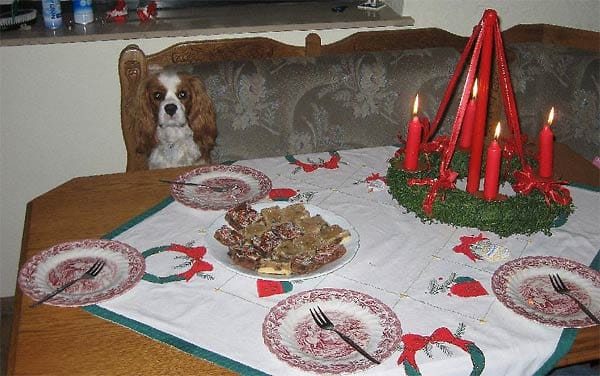 "Unser Hund "Tiger" sitzt als vollwertiges Familienmitglied am gedeckten Tisch und wartet schon einmal auf die Kekse."