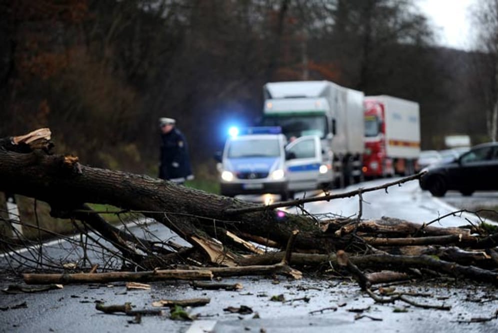 Sturmschäden umgehend der Versicherung melden