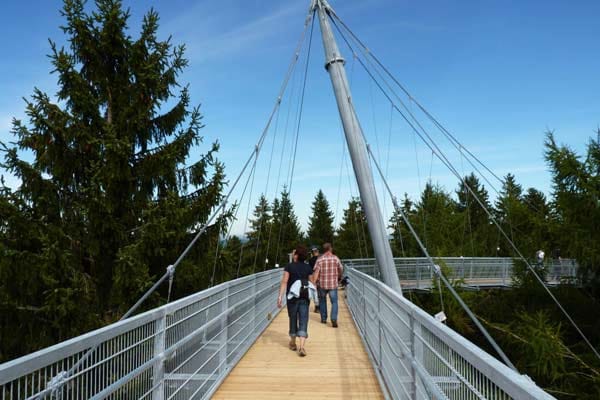 In bis zu 40 Meter Höhe ragen die Holzhängebrücken in den Tannenwald des Westallgäus.