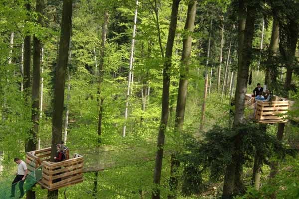 Im Schwarzwaldstädtchen Waldkirch führt seit 2009 ein 220 Meter langer Weg in 23 Metern Höhe durch die Baumwipfel.