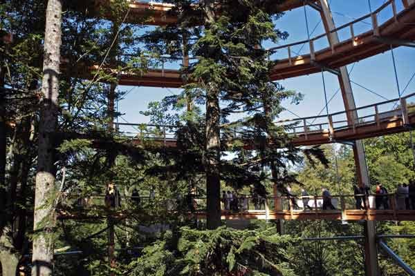 Auf der 2009 eröffneten Anlage schlendern Besucher in acht bis 25 Metern Höhe durch den Mischwald.