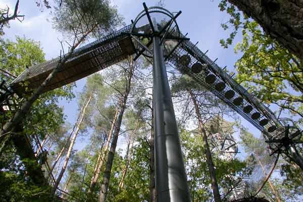 Im Nationalpark Hainich (Thüringen) ermöglicht der Baumkronenpfad das Betreten sonst unzugänglicher Bereiche des geschützten Buchenwaldes.