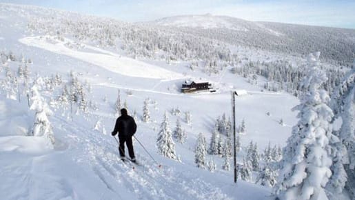 Winterlandschaft im Nationalpark Krkonose (Riesengebirge)