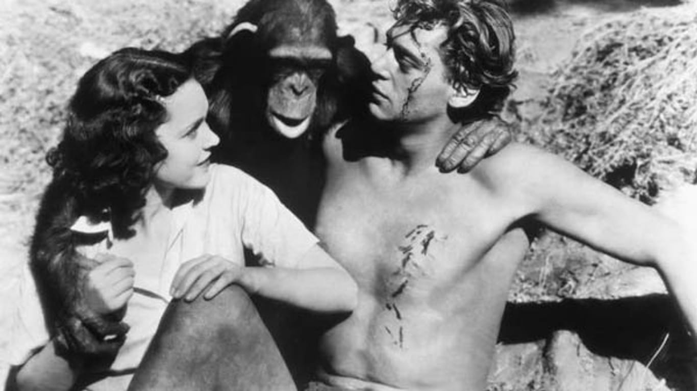 Cheetah, Johnny Weissmüller und Jane-Darstellerin Maureen O'Sullivan in "Tarzan, der Affenmensch"