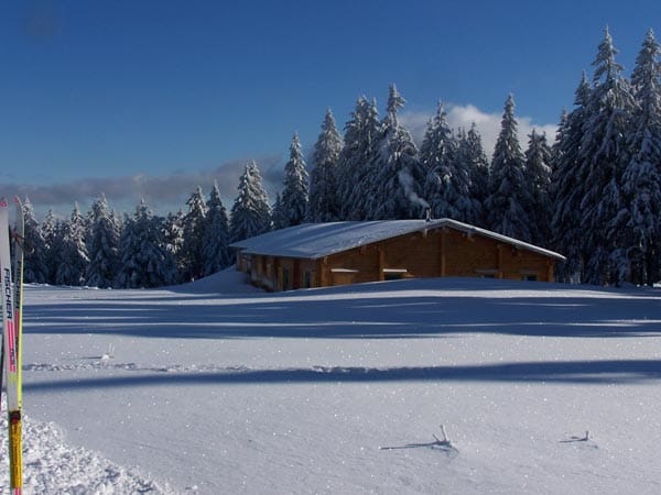 Langläufer finden im Naturschutzgebiet Hochharz mit seinen lichten Wäldern, Wiesen und Bächen ideale Verhältnisse vor. Die Große-Winterberg-Loipe hat eine Länge von 13,5 Kilometern.