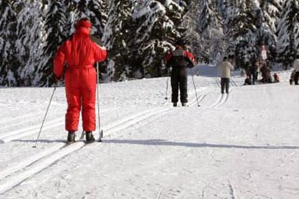 Auch Langläufer kommen im Harz auf ihre Kosten