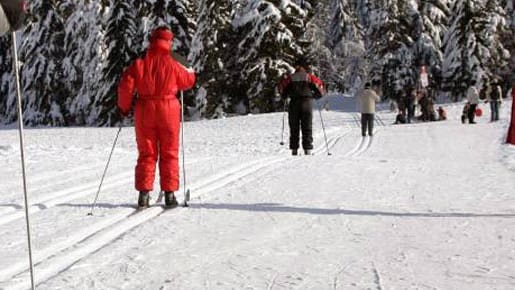 Auch Langläufer kommen im Harz auf ihre Kosten