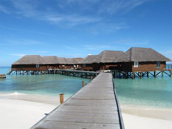 Das Veligandu Island Resort ist das beliebteste Hotel der Malediven. "Schnorcheln an der Südspitze der Insel ist traumhaft", rät Jacky.