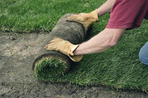 Wer einen Garten neu anlegt, kann die Kosten von der Steuer absetzen