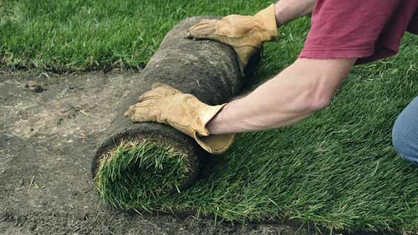 Wer einen Garten neu anlegt, kann die Kosten von der Steuer absetzen