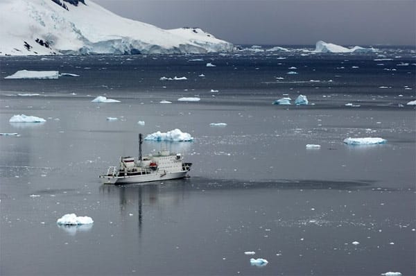 Forschungsschiff auf Kreuzfahrt-Mission: Die "Akademik Ioffe" ist in erster Linie ein Schiff für russische Forscher, das während der kurzen Antarktis-Saison für Touristenfahrten gechartert wird.