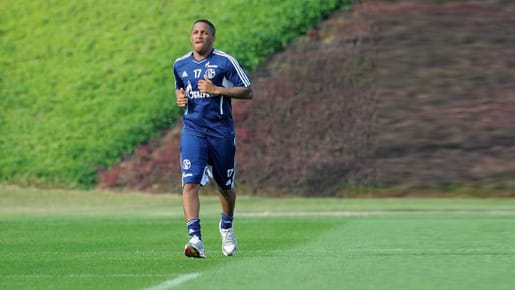 Hat sich auf Schalke isoliert: Jefferson Farfan.