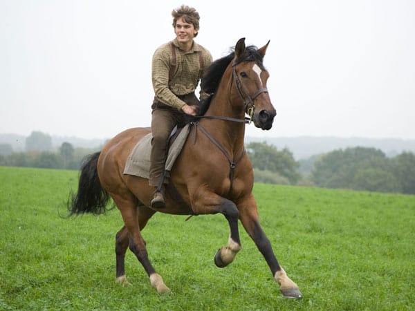 Der Film erzählt in epischen Bildern die Geschichte von Albert (Jeremy Irvine) und seinem Pferd Joey. Der Junge zähmt und trainiert das Pferd.