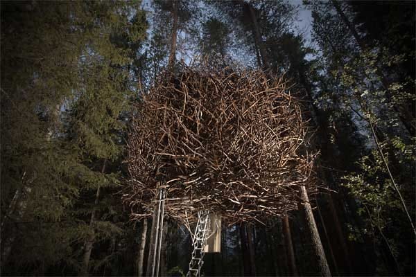 Diese Installation des Treehotel nennt sich passenderweise Bird's Nest (Vogelnest).