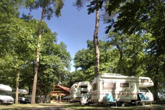In Potsdam lockt dieses Kleinod: Der Campingplatz Sanssouci mitten im Grünen