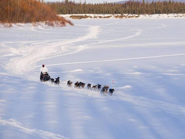 Schnee so weit das Auge reicht. Die Strecke des Iditarod führt durch die Weiten Alaskas.