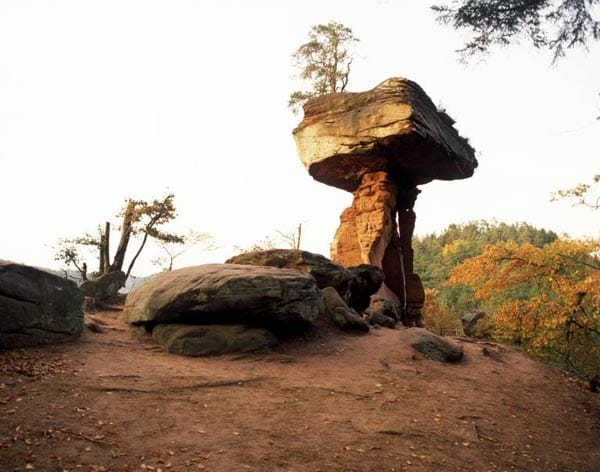 Diese Steinformation sieht zwar wie ein riesiger Pilz aus, heißt allerdings Teufelstisch und ist insgesamt 14 Meter hoch. Zu finden ist diese im Wasgau, dem Südteil des Pfälzerwaldes.