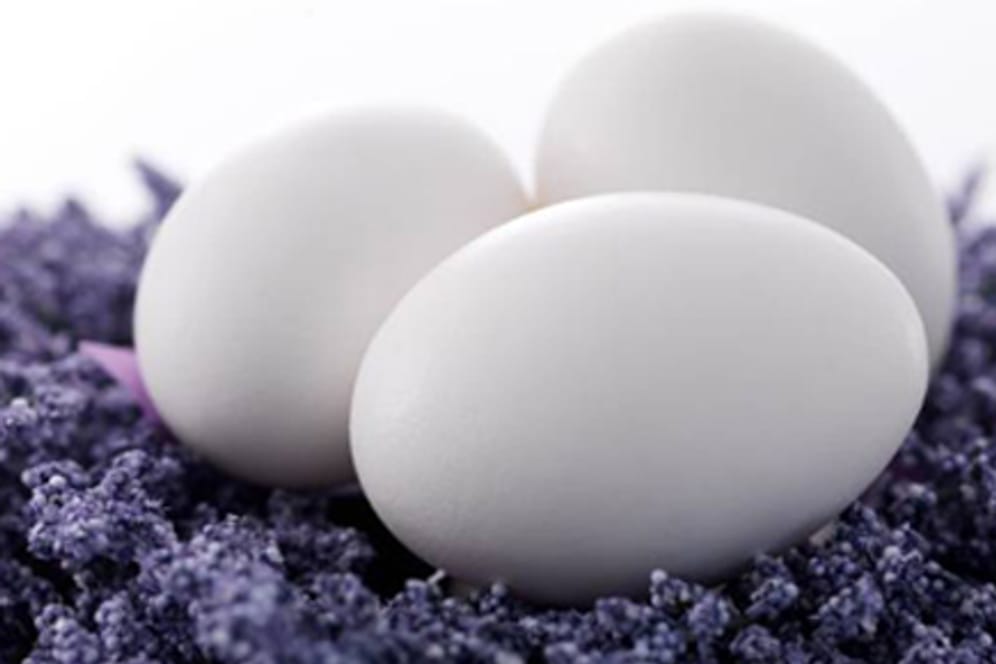 Natürliche Farben halten am besten auf weißen Eiern
