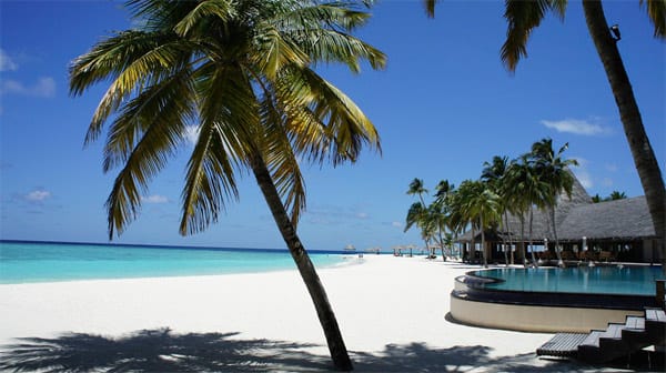 Das Hotel Veligandu Island Resort auf den Malediven verwöhnt seine Gäste in Bungalows, die sich an der Küste verteilen.