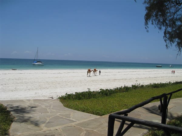 Kenia bietet viel mehr als nur Safaris. Weißer Sandstrand und glasklares Meer machen Diani Beach zu einem absoluten Traumstrand. Das Hotel The Sands at Nomad ist ein sehr kleines aber feines Hotel direkt am Strand.