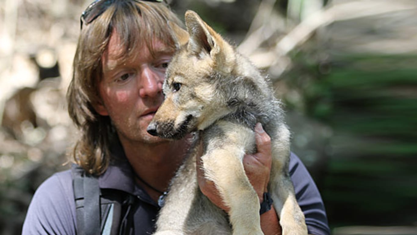 Andreas Kieling mit einem jungen Wolf.